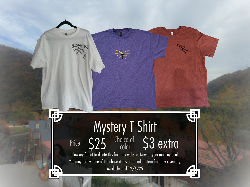 Mystery Embroidered T Shirt